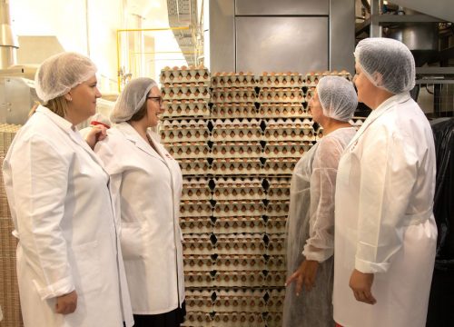 Visita a la fábrica Joselin